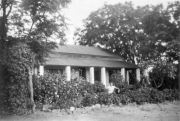 Emmie - Serowe