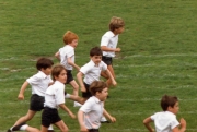 Paulie in Weatherby race