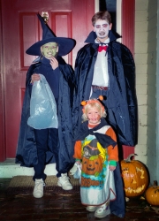 Scanned Negative - 0331993